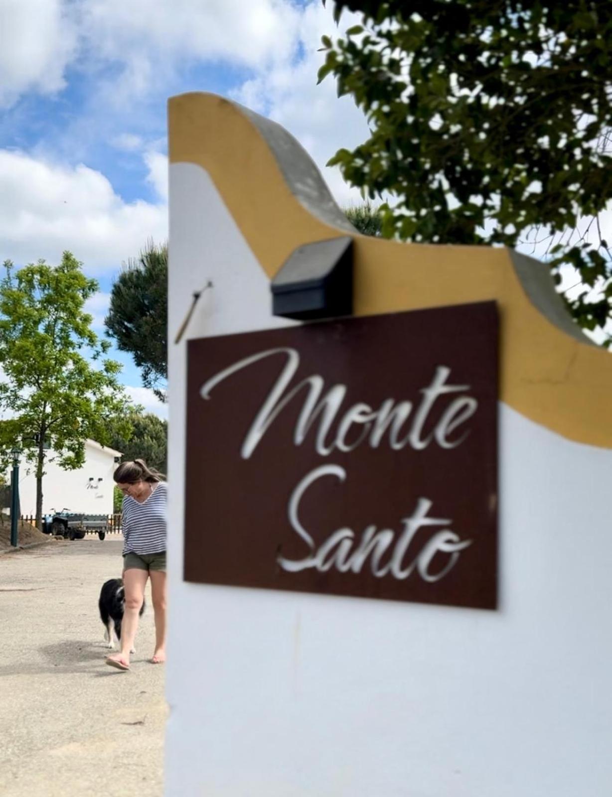モンタルジル Monte Santoヴィラ エクステリア 写真